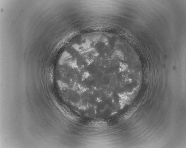 X0000057100644200510071938