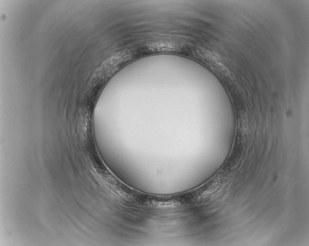 X0000057100645200510071938