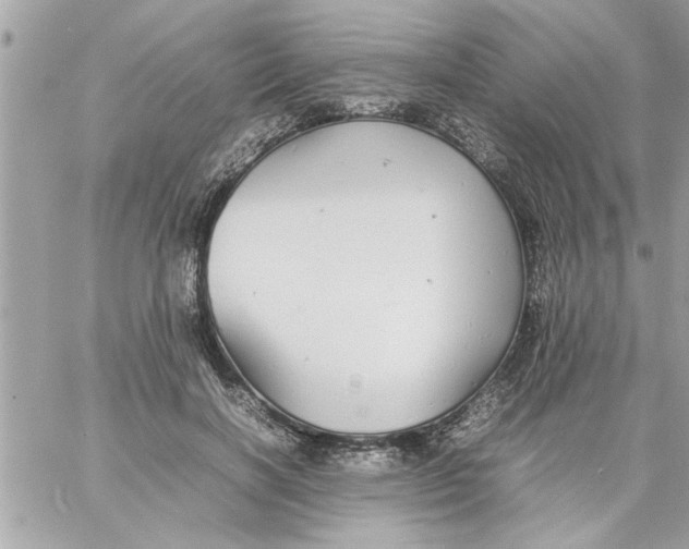 X0000057100646200510071938