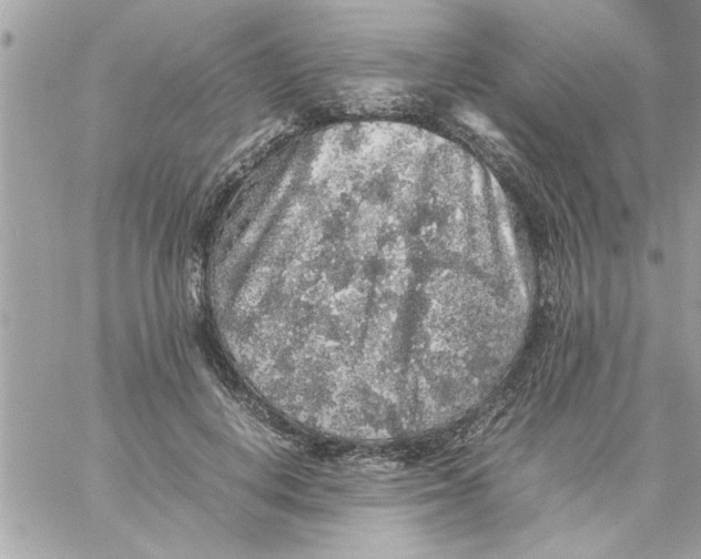 X0000057100648200510071938