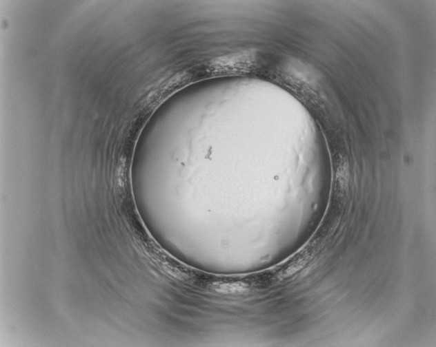 X0000057100649200510071938