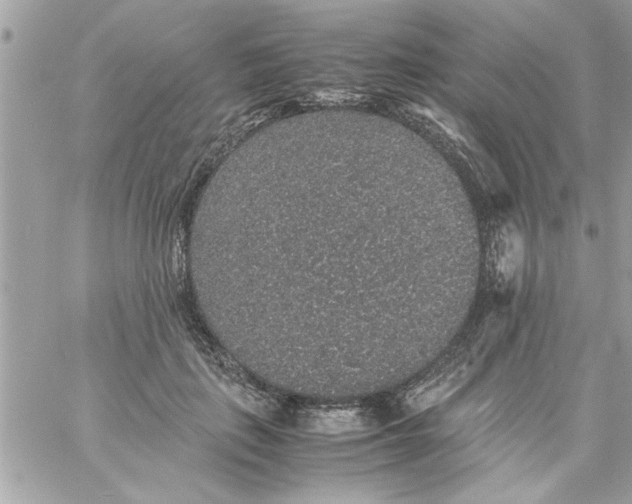 X0000057100651200510071938