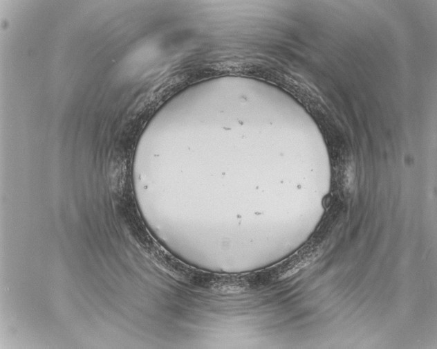 X0000057100652200510071938