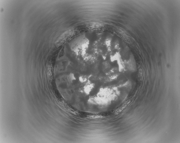 X0000057100654200510071938