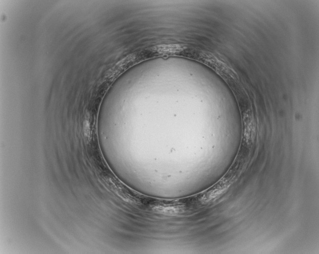 X0000057100655200510071938