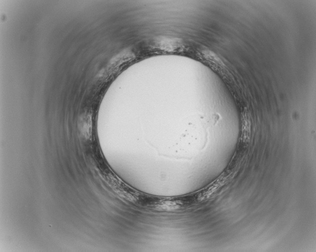 X0000057100656200510071938