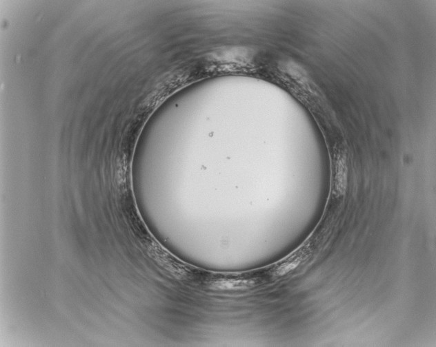 X0000057100657200510071938