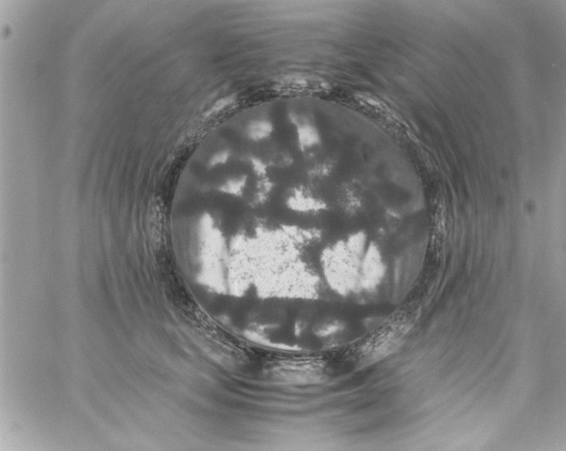 X0000057100659200510071938