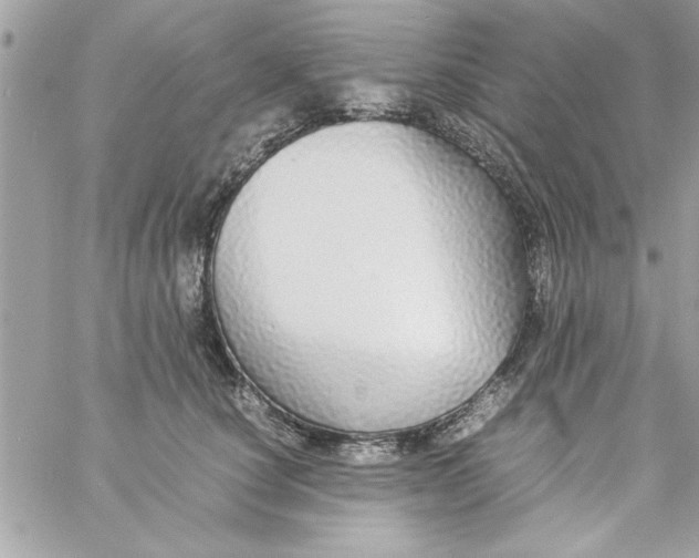 X0000057100660200510071938