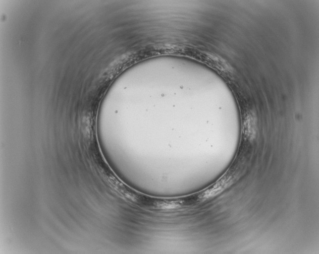 X0000057100662200510071938