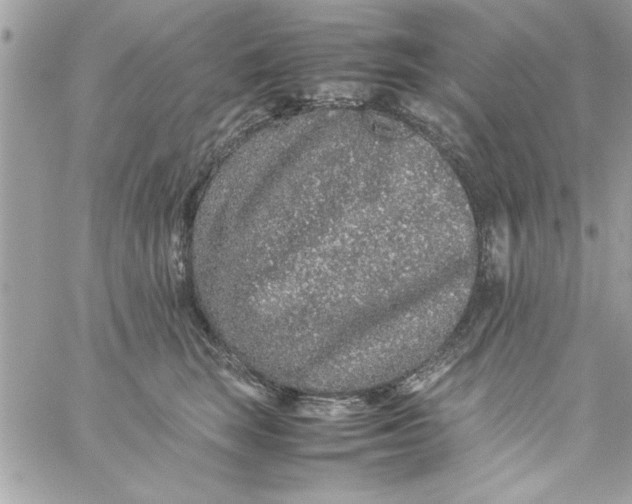 X0000057100663200510071938