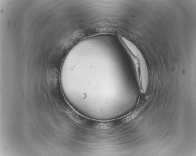 X0000057100664200510071938