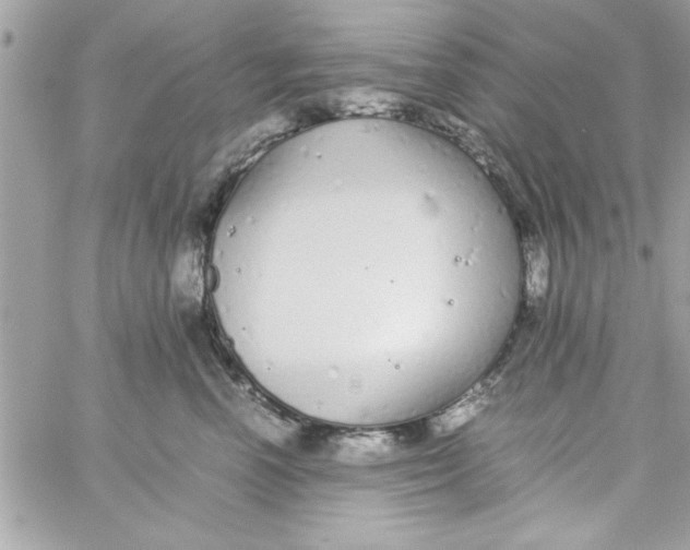 X0000057100666200510071938