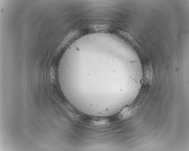 X0000057100667200510071938