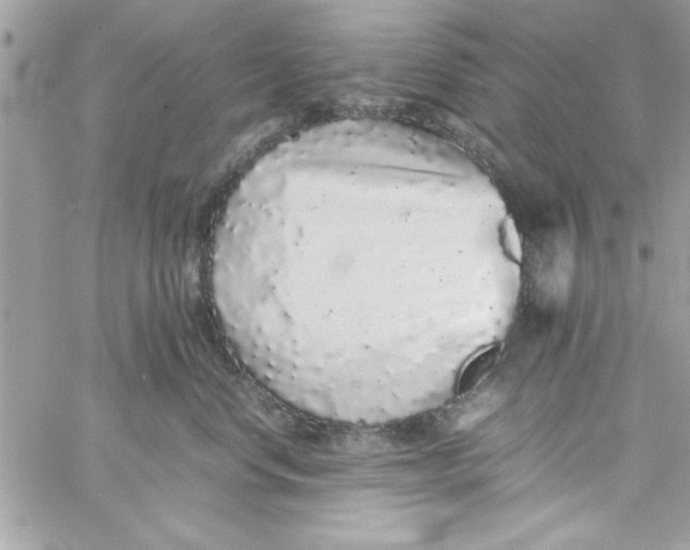 X0000057100668200510071938