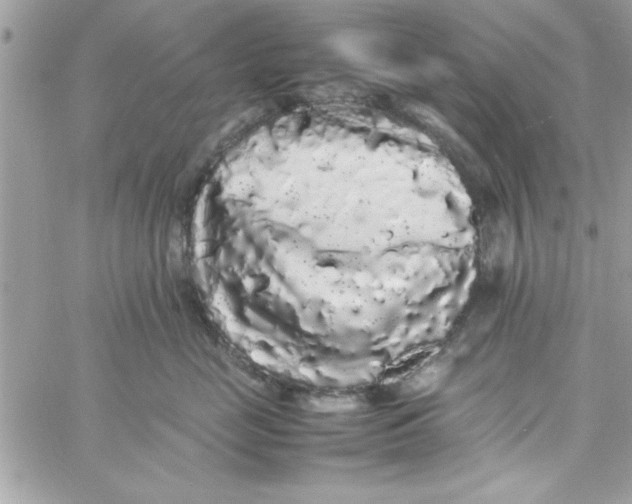 X0000057100669200510071938