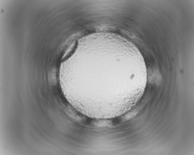 X0000057100670200510071938