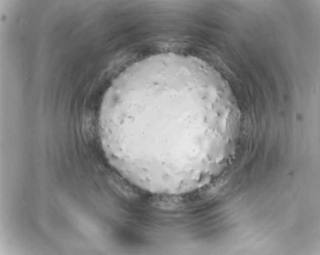 X0000057100671200510071938