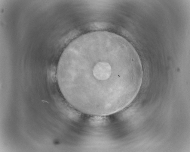 X0000057100672200510071938