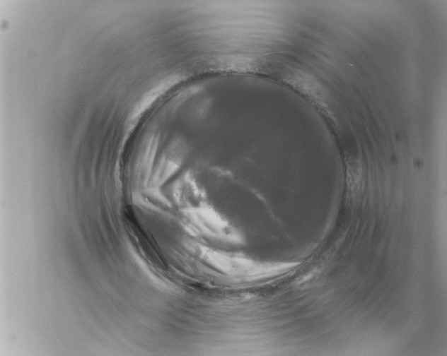 X0000057100674200510071938