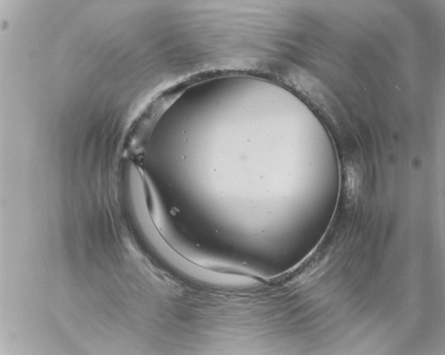 X0000057100676200510071938