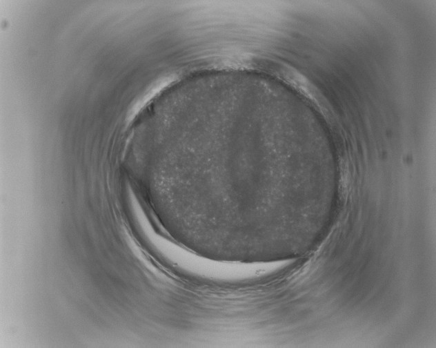 X0000057100677200510071938