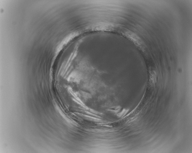 X0000057100678200510071938