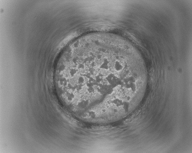 X0000057100679200510071938