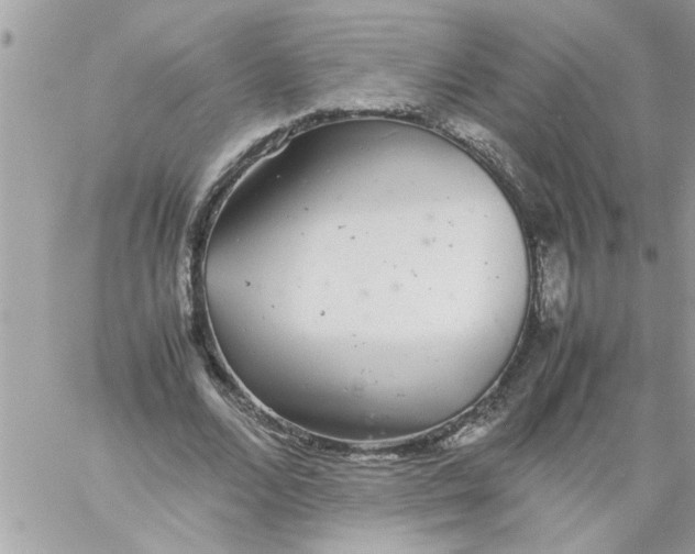 X0000057100680200510071938