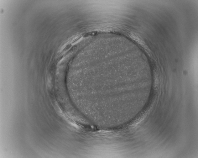 X0000057100681200510071938