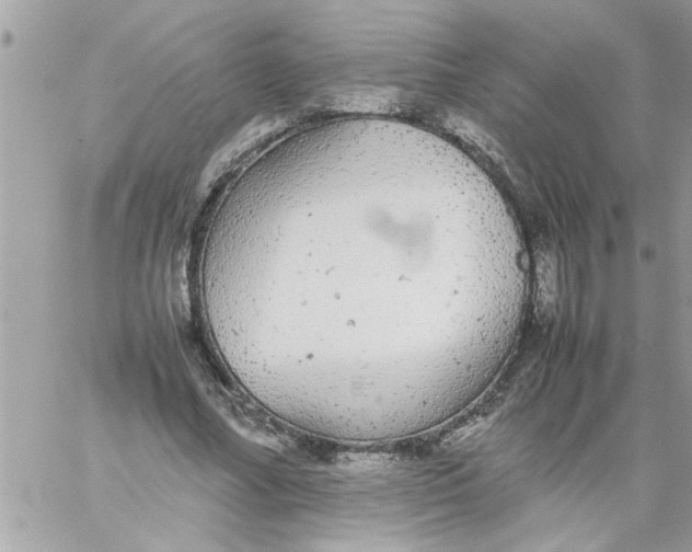 X0000057100682200510071938