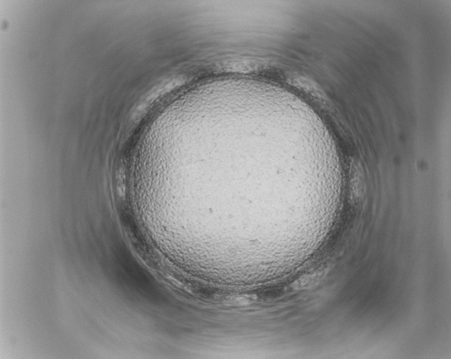 X0000057100683200510071937