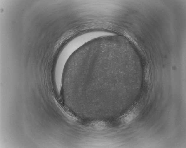 X0000057100685200510071937