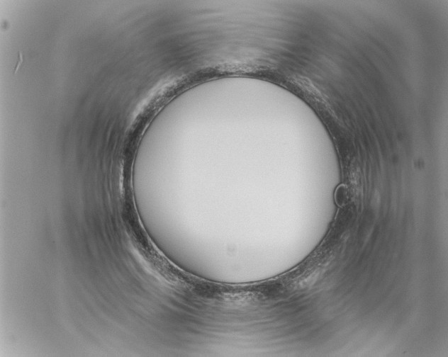 X0000057100686200510071937