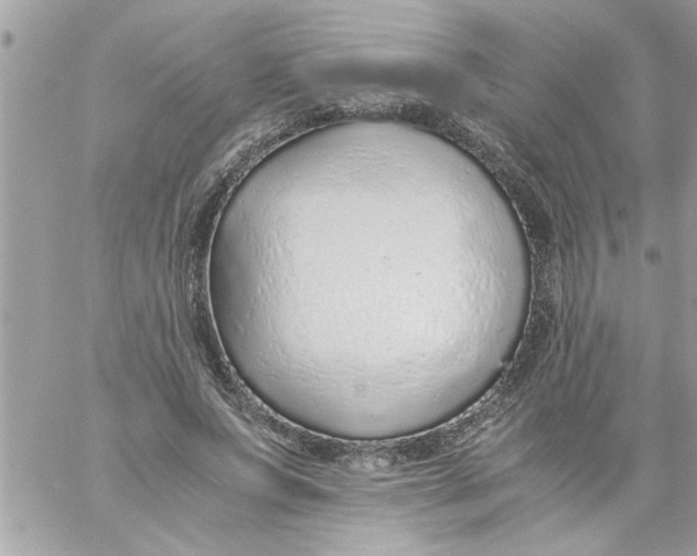 X0000057100687200510071937