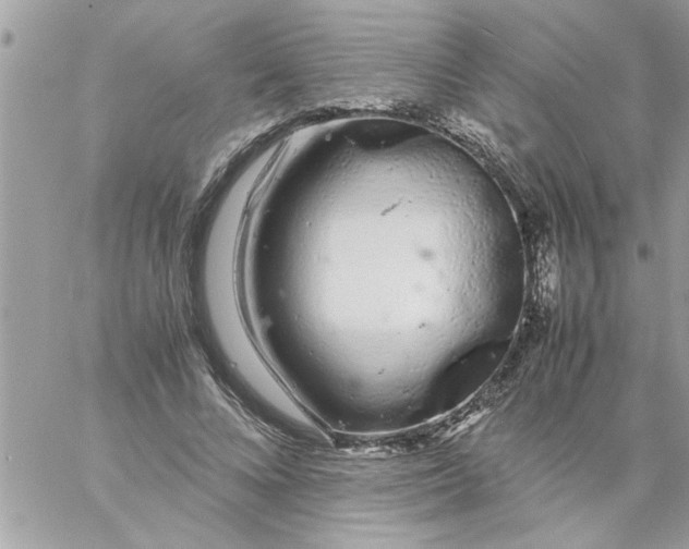 X0000057100688200510071937