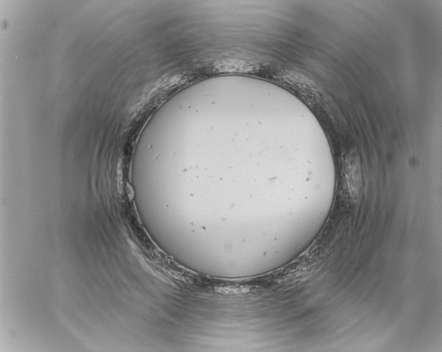 X0000057100690200510071937