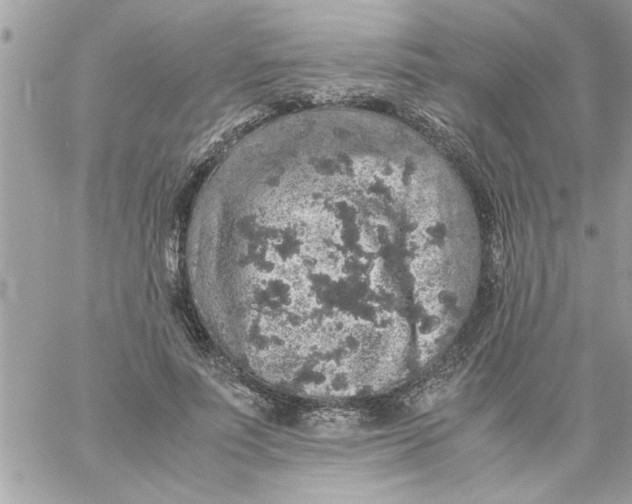 X0000057100691200510071937