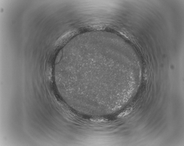 X0000057100693200510071937