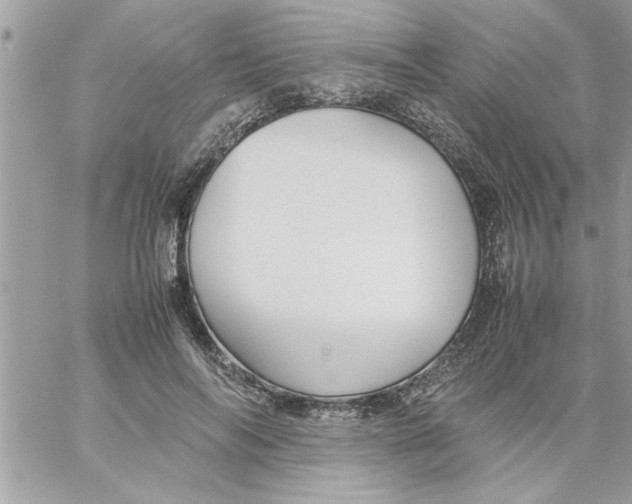 X0000057100694200510071937