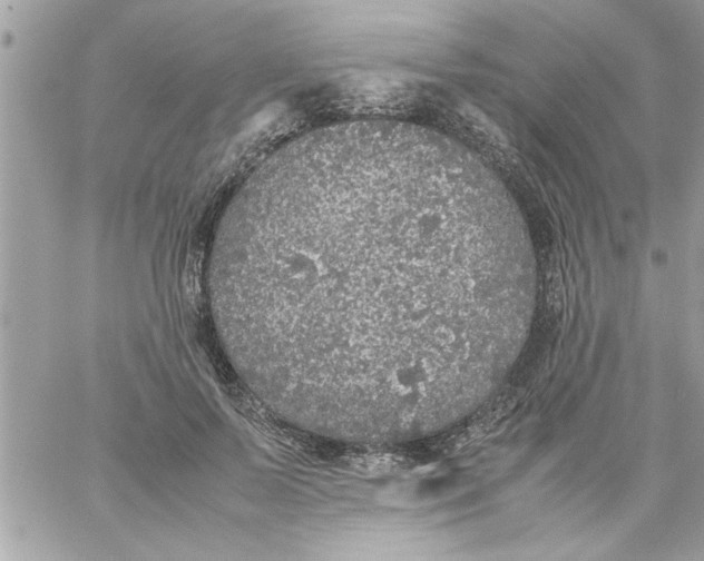 X0000057100695200510071937