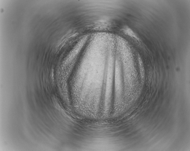 X0000057100696200510071937