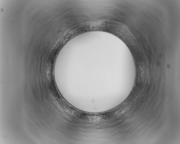 X0000057100698200510071937