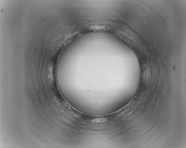 X0000057100700200510071937