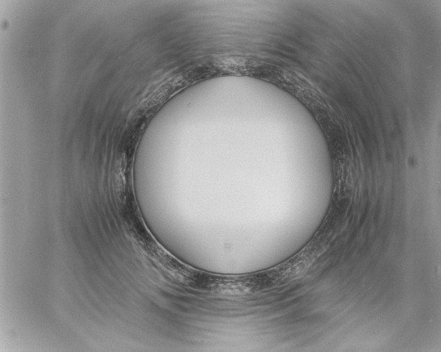 X0000057100702200510071937