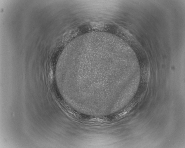 X0000057100703200510071937