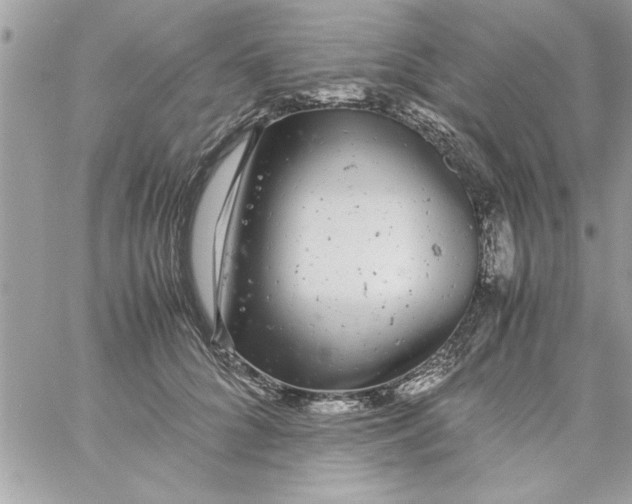 X0000057100704200510071937