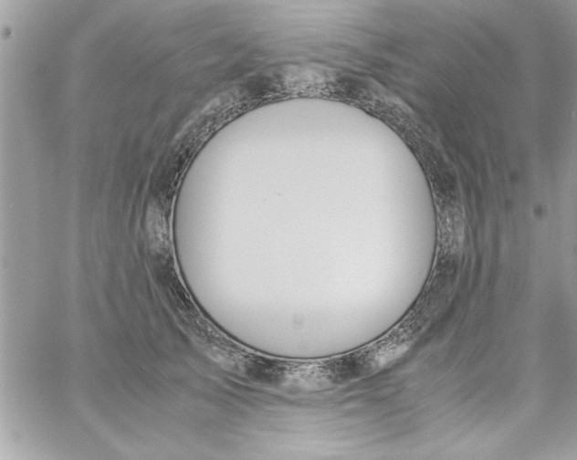 X0000057100705200510071937