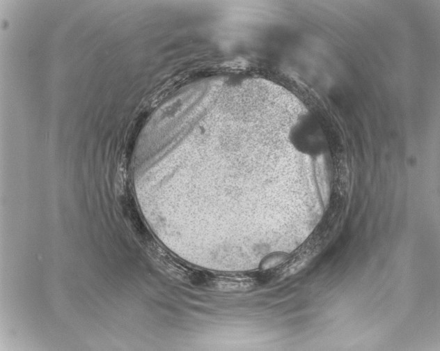 X0000057100707200510071937