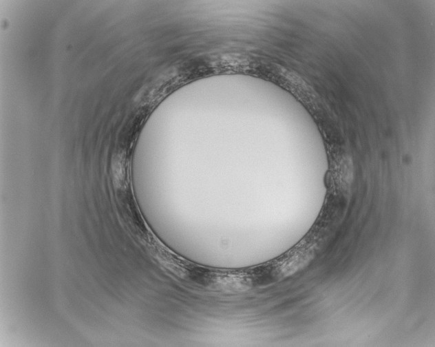 X0000057100709200510071937